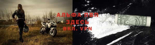ГАЛЛЮЦИНОГЕННЫЕ ГРИБЫ Белоозёрский
