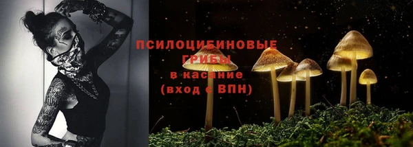 хмурый Арсеньев
