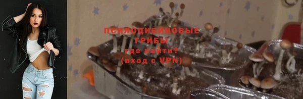 apvp Балабаново