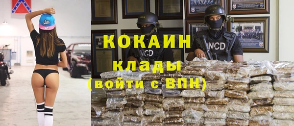 ГАЛЛЮЦИНОГЕННЫЕ ГРИБЫ Белоозёрский