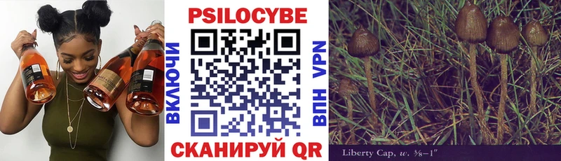 Галлюциногенные грибы MAGIC MUSHROOMS  купить наркотики сайты  Барабинск 